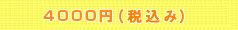4000�~�i�ō��݁j
